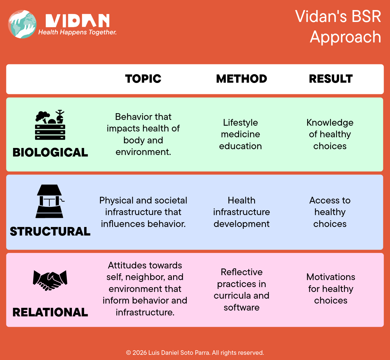 Vidan's BSR Approach table: Biological, Structural, and Relational rows with Topic, Method, and Result columns